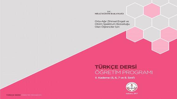 Özel çocuklar için işlevsel Türkçe müfredatı