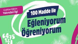 100 Madde İle Eğleniyorum Öğreniyorum